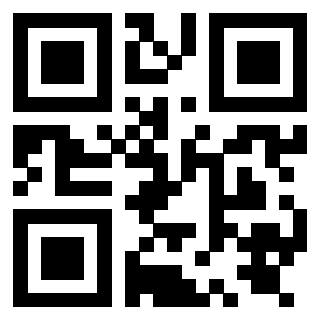 Il Qr Code di 3919848617