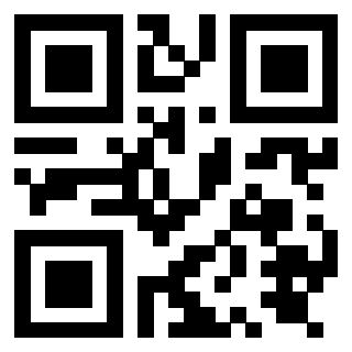 QrCode di 3919874701
