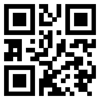 Il Qr Code di 3919874734