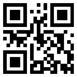 QrCode di 3919874735