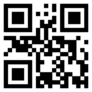 QrCode di 3919874751