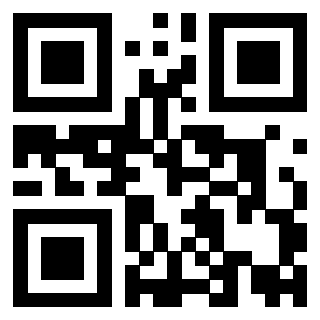 Il Qr Code di 3919874753