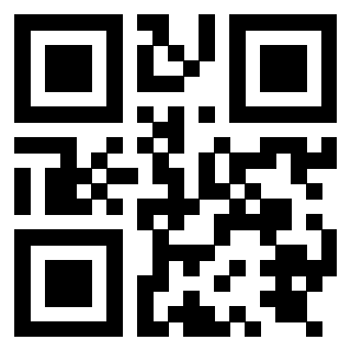 Il Qr Code di 3919874768