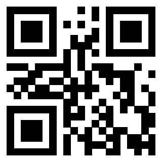 QrCode di 3919874781