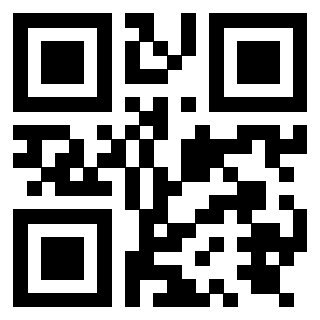 Il Qr Code di 3919874804