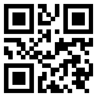 Il Qr Code di 3919874825