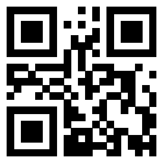 Il Qr Code di 3919874826