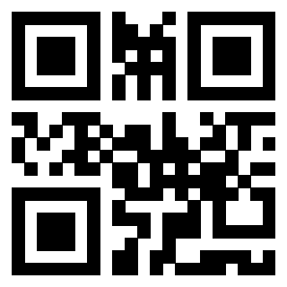 Il Qr Code di 3919874873