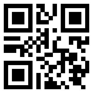 Il QrCode di 3919874905