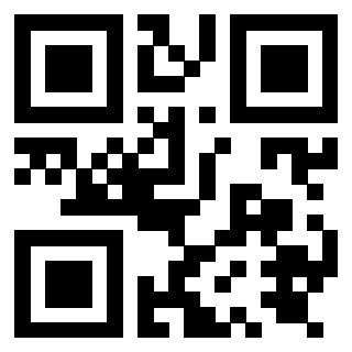 3919874924 QrCode associato