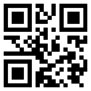 Il Qr Code di 3919874934