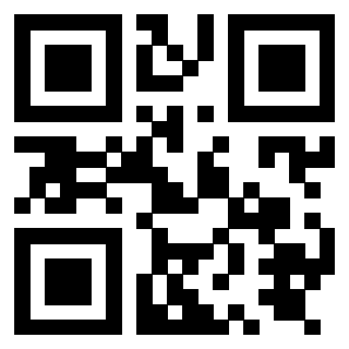 QrCode di 3919874941