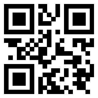 QrCode di 3919874973