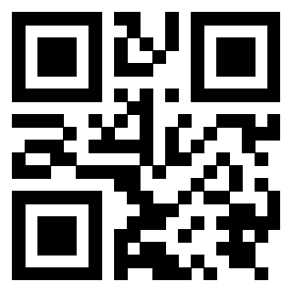 Il Qr Code di 3919875000