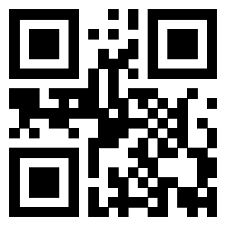 Il Qr Code di 3919875007