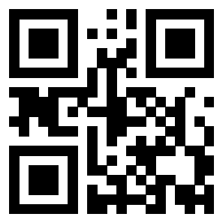 Il Qr Code di 3919875013