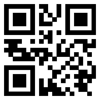 QrCode di 3919875040