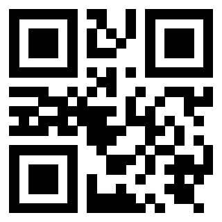 QrCode di 3919875051