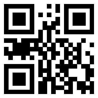 Il QrCode di 3919875063