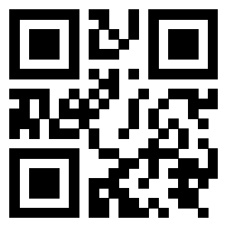 Il Qr Code di 3919875065