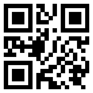 3919875069 QrCode associato