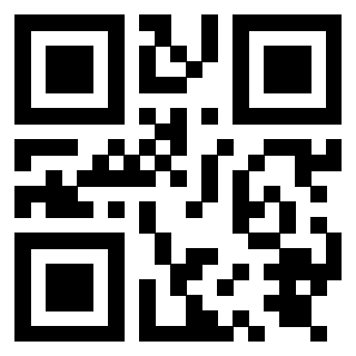 3919875072 Qr Code associato