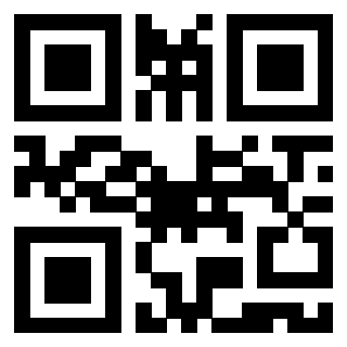 QrCode di 3919875074