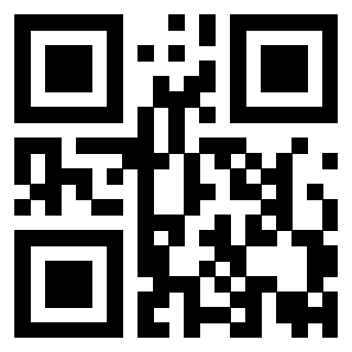 Il QrCode di 3919875077
