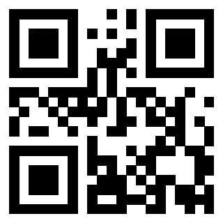 Il QrCode di 3919875079