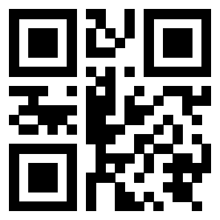 Il Qr Code di 3919875089