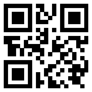 Il Qr Code di 3919875090