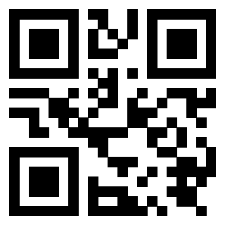 Immagine del Qr Code di 3919875092