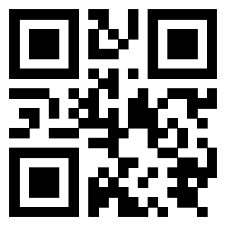 QrCode di 3919875102
