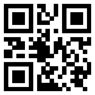 3919875123 QrCode associato