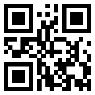 Il Qr Code di 3919875143