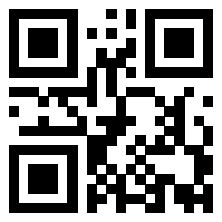 Il Qr Code di 3919875160