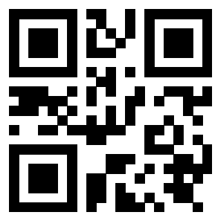 QrCode di 3919875166