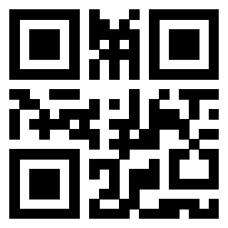 QrCode di 3919875171