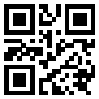 Il Qr Code di 3919875204