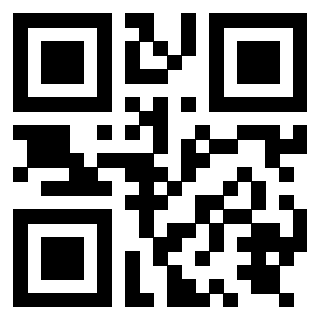 Il Qr Code di 3919875209