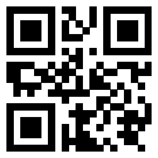 QrCode di 3919875229