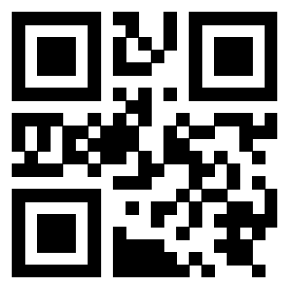 Il QrCode di 3919875231