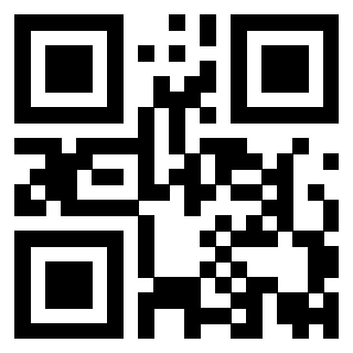 3919875250 QrCode associato