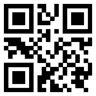 Il Qr Code di 3919875251