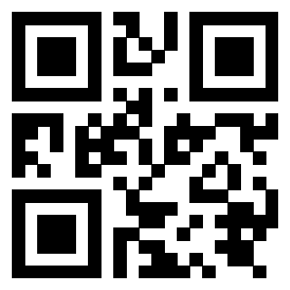 Il Qr Code di 3919875266