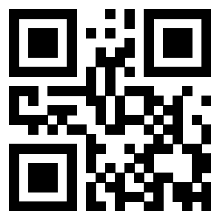 QrCode di 3919875269
