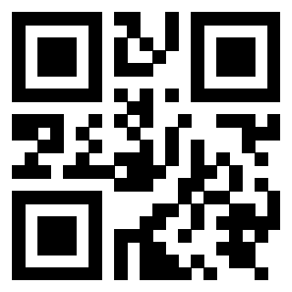 Immagine del Qr Code di 3919875309