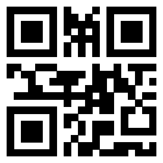 QrCode di 3919875336