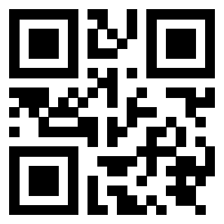 Il Qr Code di 3919875345
