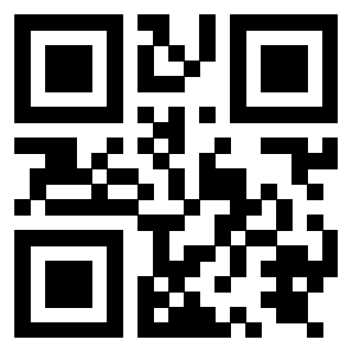 Il Qr Code di 3919875369